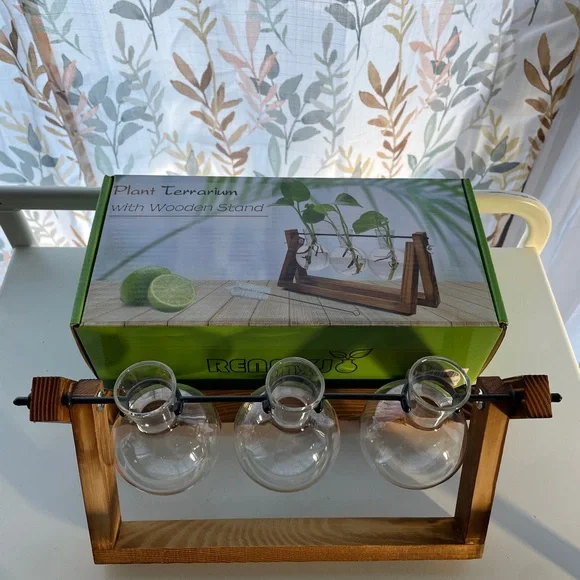 Wooden Plant Terrarium with Glass Vases - Picture 1 of 5